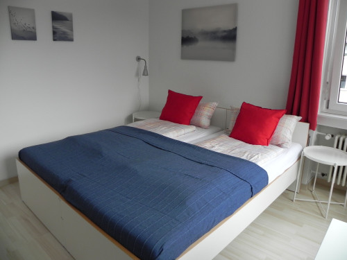 Studio-Apartment - centrally located, Danube + Ulm by foot, private parking, lift, W-LAN