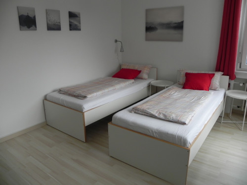 Studio-Apartment - centrally located, Danube + Ulm by foot, private parking, lift, W-LAN  - Gallery -  5