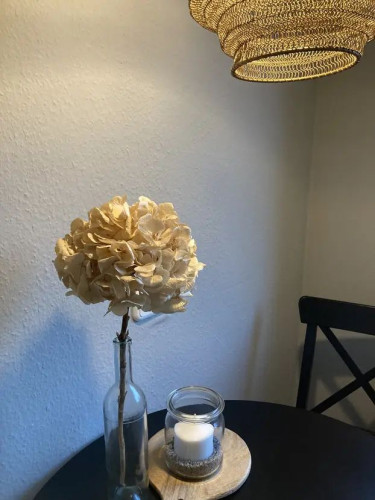 Freshly renovated and furnished 3-room flat with balcony and car parking space
