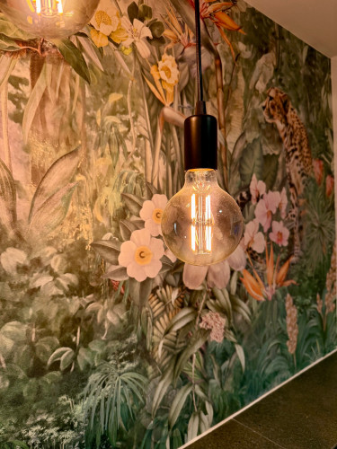 Zentrales Studio-Appartment mit Terrasse