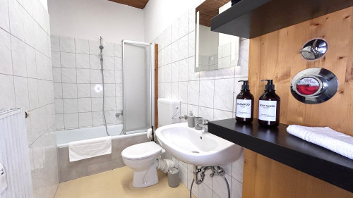 Goltan Apartment - Straubing with parking