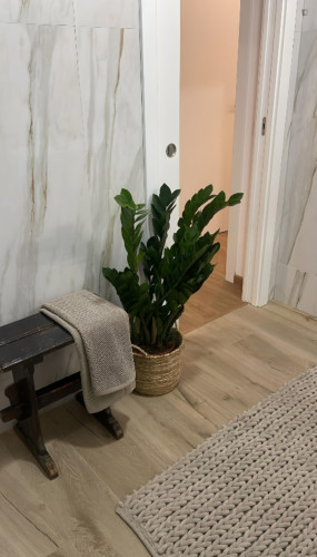 Cozy 2 Bedroom Apartment close to Golegã National Horse Fair