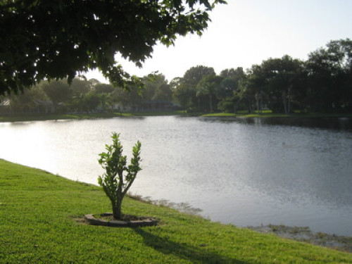 Beautiful Lakefront Home, Gated - Gallery - 18