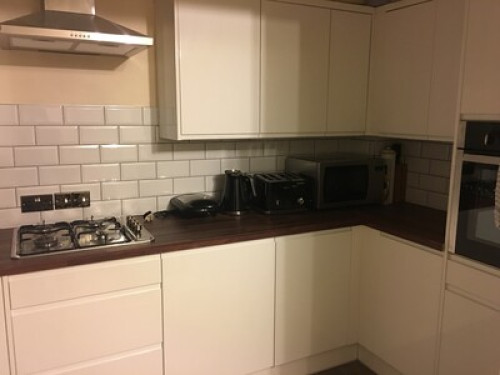 home stay hosts, students & family.  - Gallery -  5