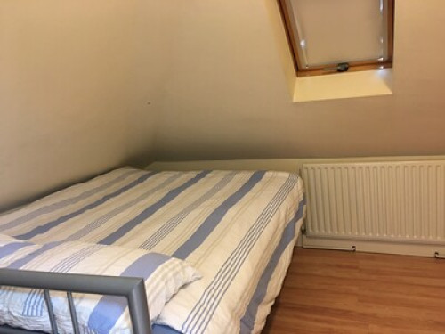 home stay hosts, students & family.