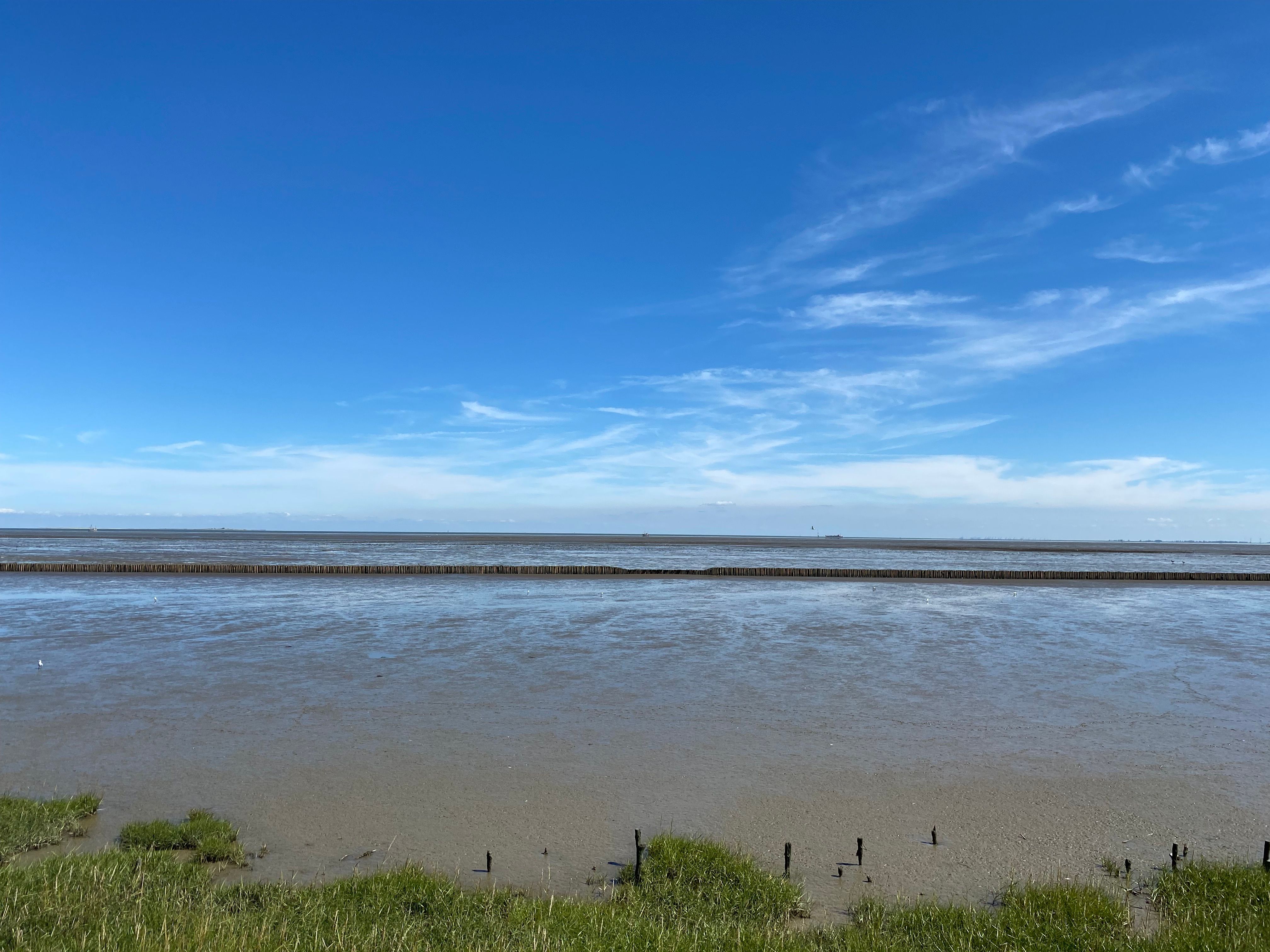  Modern, Luxuries, Clean And Top Location. NEW: Fast Charging Station Right At Your Doorstep!  -  modern, luxuries, clean and top location. NEW: Fast charging station right at your doorstep!  - Gallery -  7