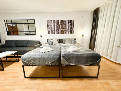 Modern apartment in the heart of Karlsruhe - Gallery - 9