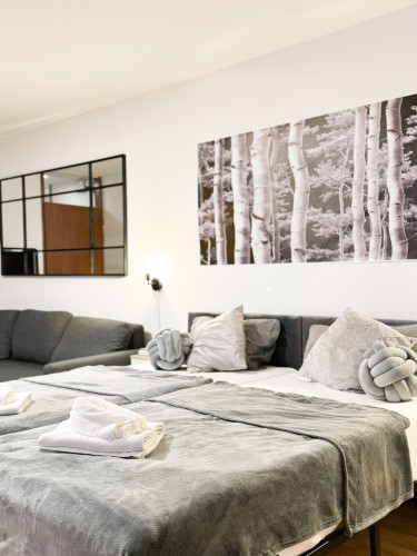 Modern apartment in the heart of Karlsruhe - Gallery - 8