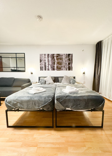 Modern apartment in the heart of Karlsruhe - Gallery - 11