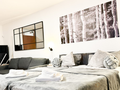 Modern apartment in the heart of Karlsruhe - Gallery - 15