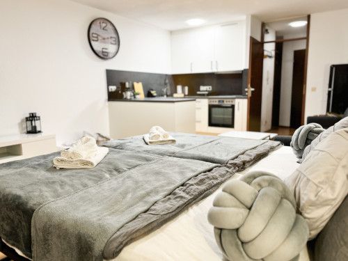 Modern apartment in the heart of Karlsruhe - Gallery - 4