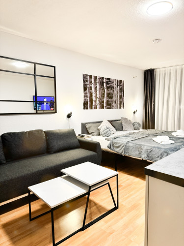 Modern apartment in the heart of Karlsruhe - Gallery - 10