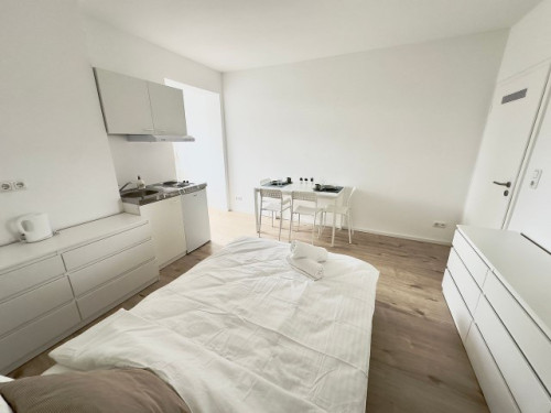 New and furnished Studio in the City Center - Gallery - 12