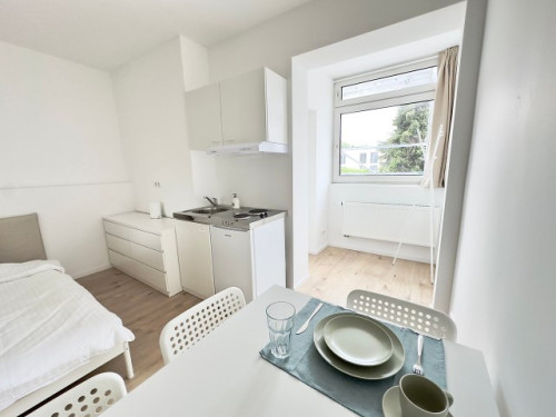 New and furnished Studio in the City Center - Gallery - 7