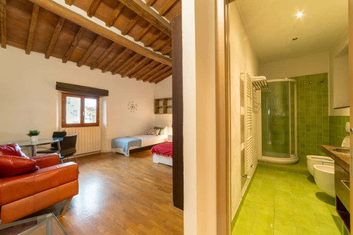 Stanza in Via Ponte Alle Mosse