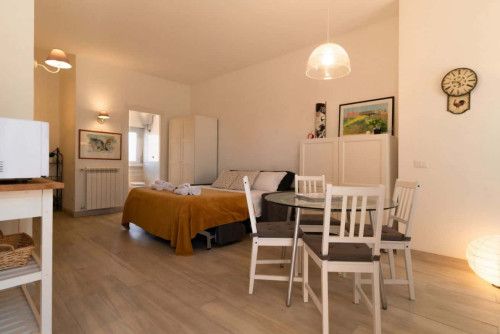 Elegante monolocale vicino alla metro Numidio Quadrato