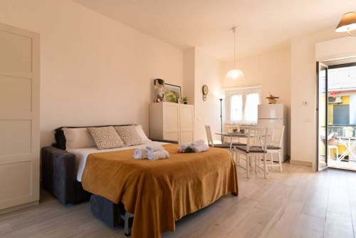 Elegante monolocale vicino alla metro Numidio Quadrato