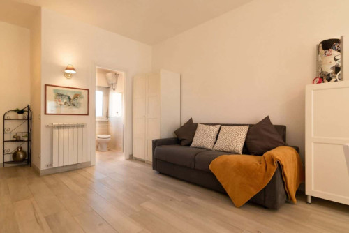 Elegante monolocale vicino alla metro Numidio Quadrato