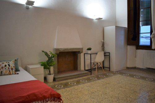 Luminosa e spaziosa stanza singola