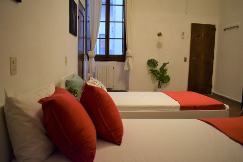 Stanza grande da condividere con bagno privato