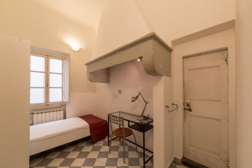 Luminosa stanza in Borgo Ognissanti