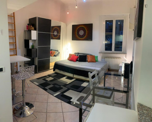 Snug studio in Porta Genova