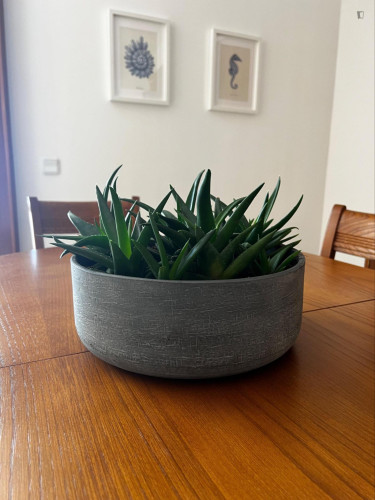 Alluring 1 Bedroom Apartment close to Vagueira Beach