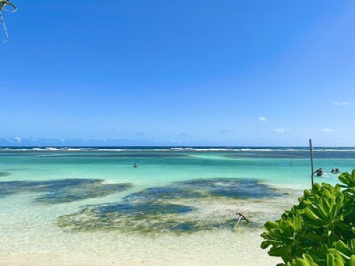 Suite Stay & Guided Tours - Gallery - 6