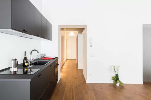 Apartment in Via Frattina  - Roma