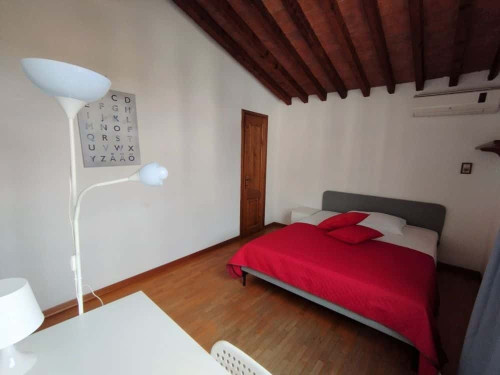 Camera privata in Via Calzolari 29 - Gallery - 6