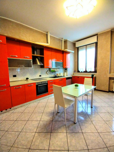 Via Padova  - Gallery -  5