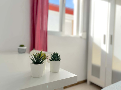 Sunny room near CENTER with A/C in apart., double bed, TV 32", lock door. WIFI incl. - Gallery - 6