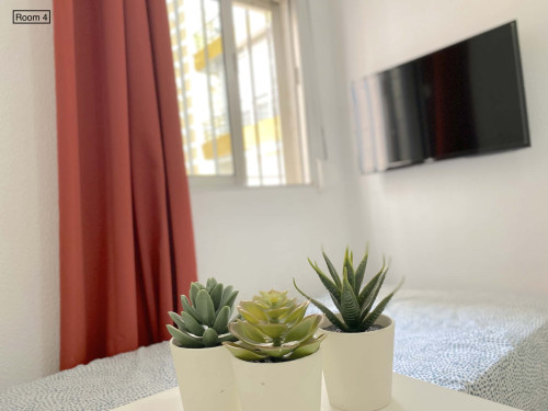 Deluxe room near CENTER with A/C in apart., TV 32", lock door. WIFI incl. - Gallery - 7