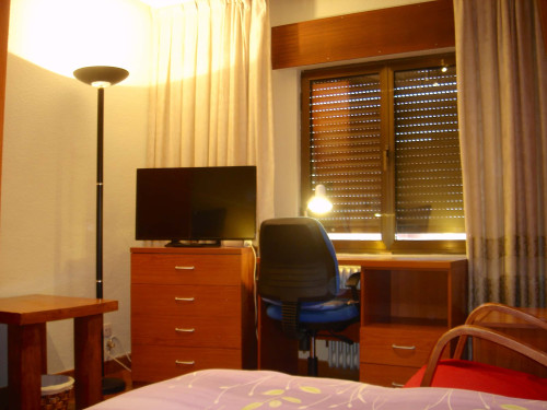 Avenida de los Maristas - Gallery - 31