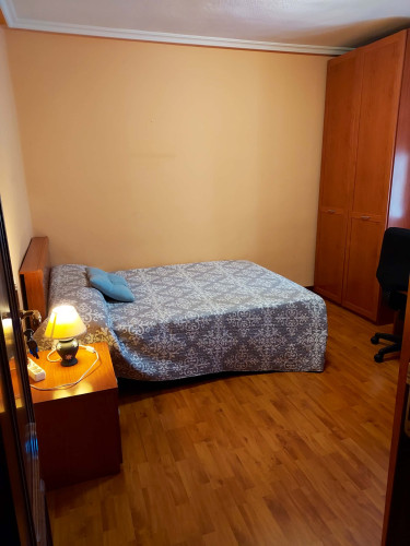 Paseo de San Vicente