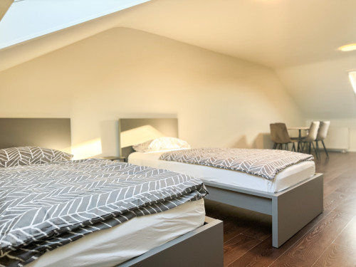 Modern & Fully Furnished Attic Apartment with 5 Single Beds – Ideal for Business Travelers
