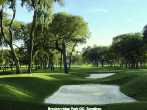 Walk to Parks, Pubs, & Great Eats! - Gallery - 10