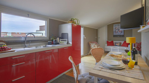 Very neat 1 bedroom apartment near Firenze Statuto station