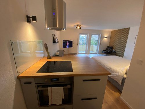 Studio Apartment, modern, high-quality, with balcony in the centre of Dresden (Germany) - Gallery - 12