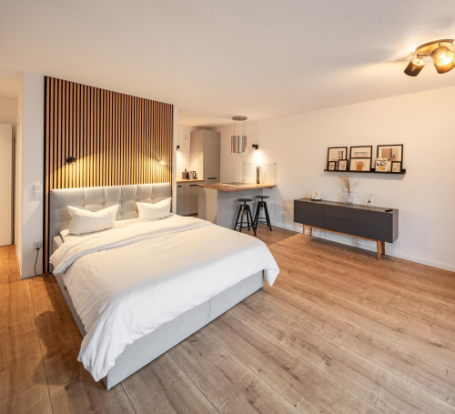 Studio Apartment, modern, high-quality, with balcony in the centre of Dresden (Germany)