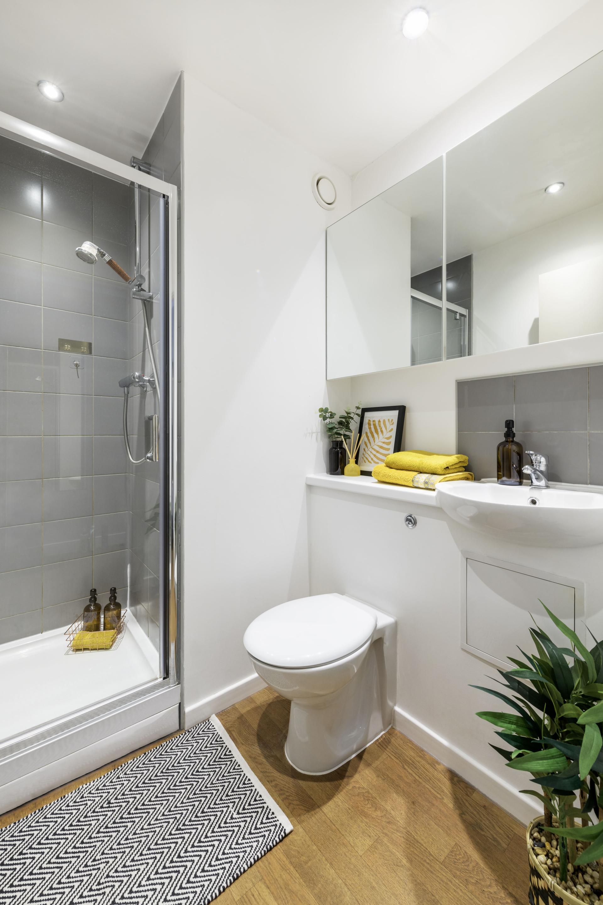 Prm En 7 Bed Apt - 4