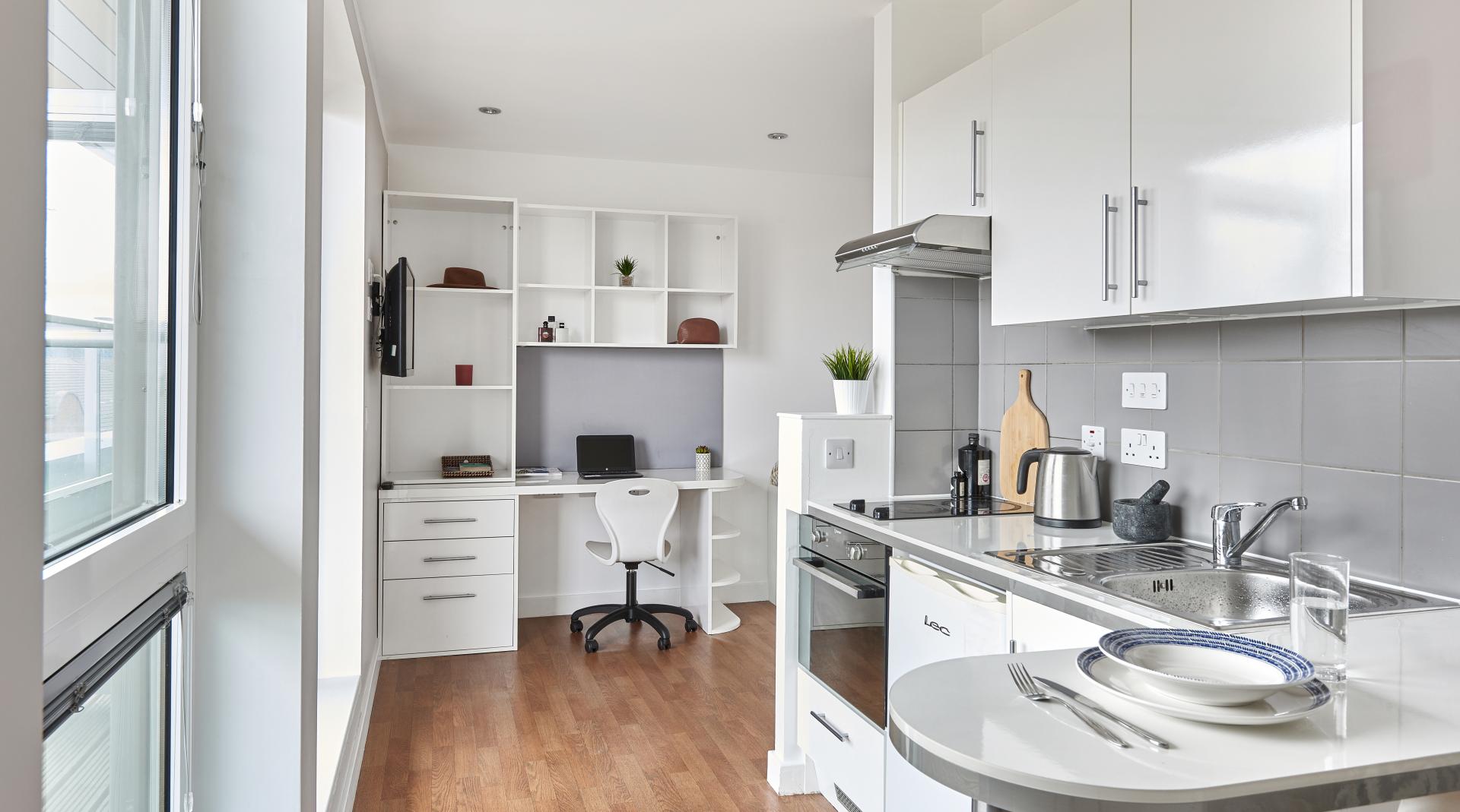 Penthouse Studio Plus - 3