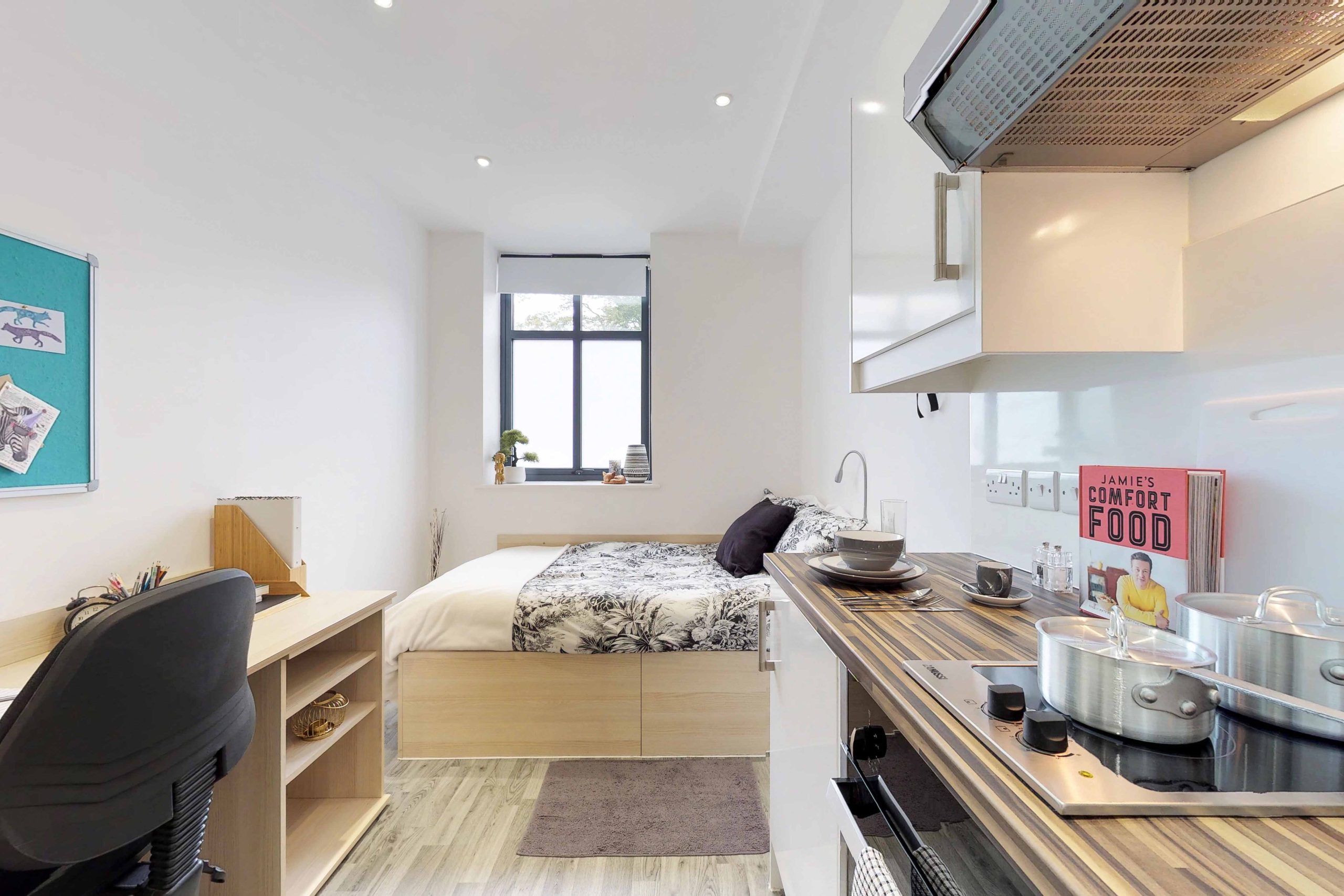  Classic Studio  -  Castle Hill  - Gallery -  1