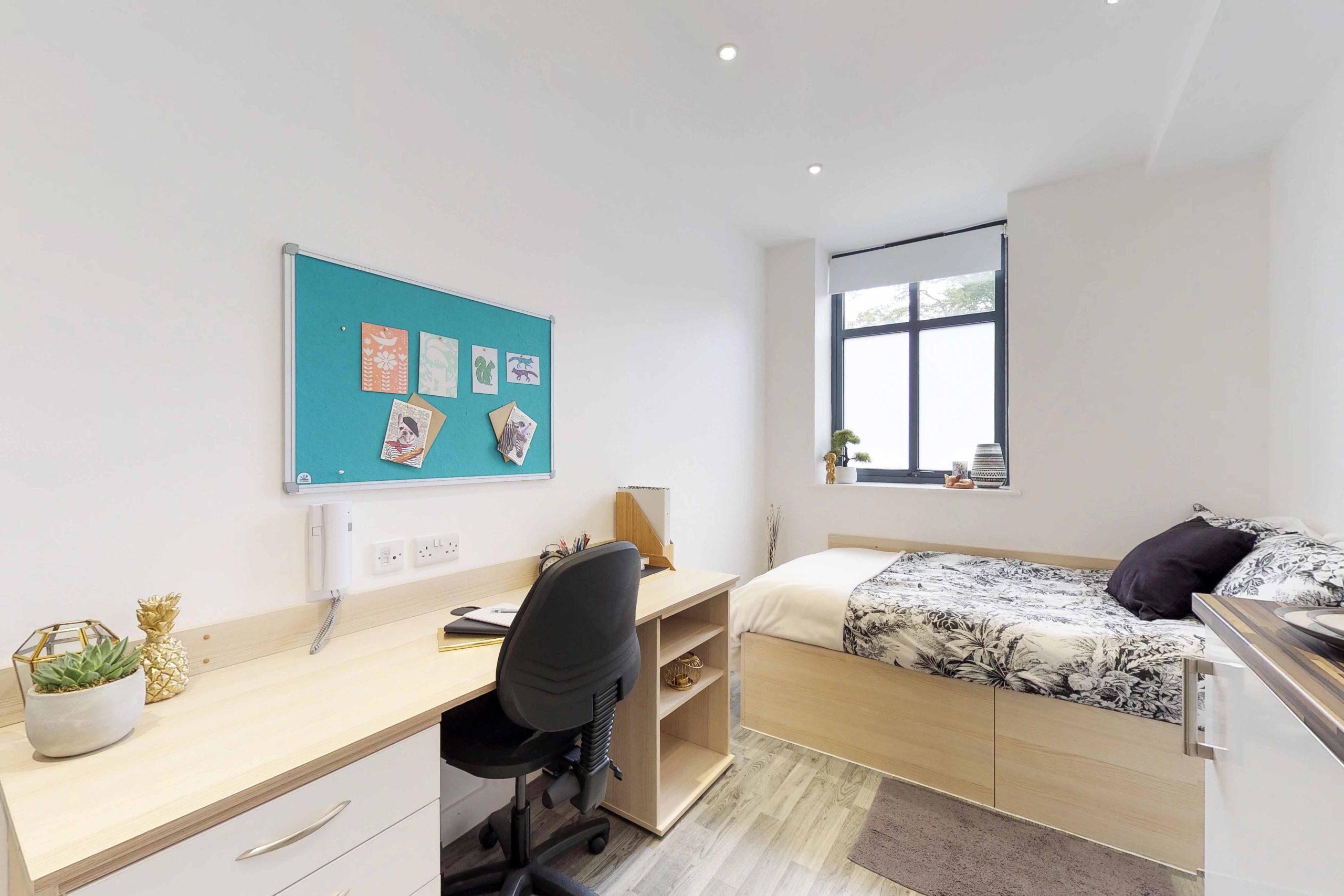 Classic Studio - Castle Hill - Gallery - 5