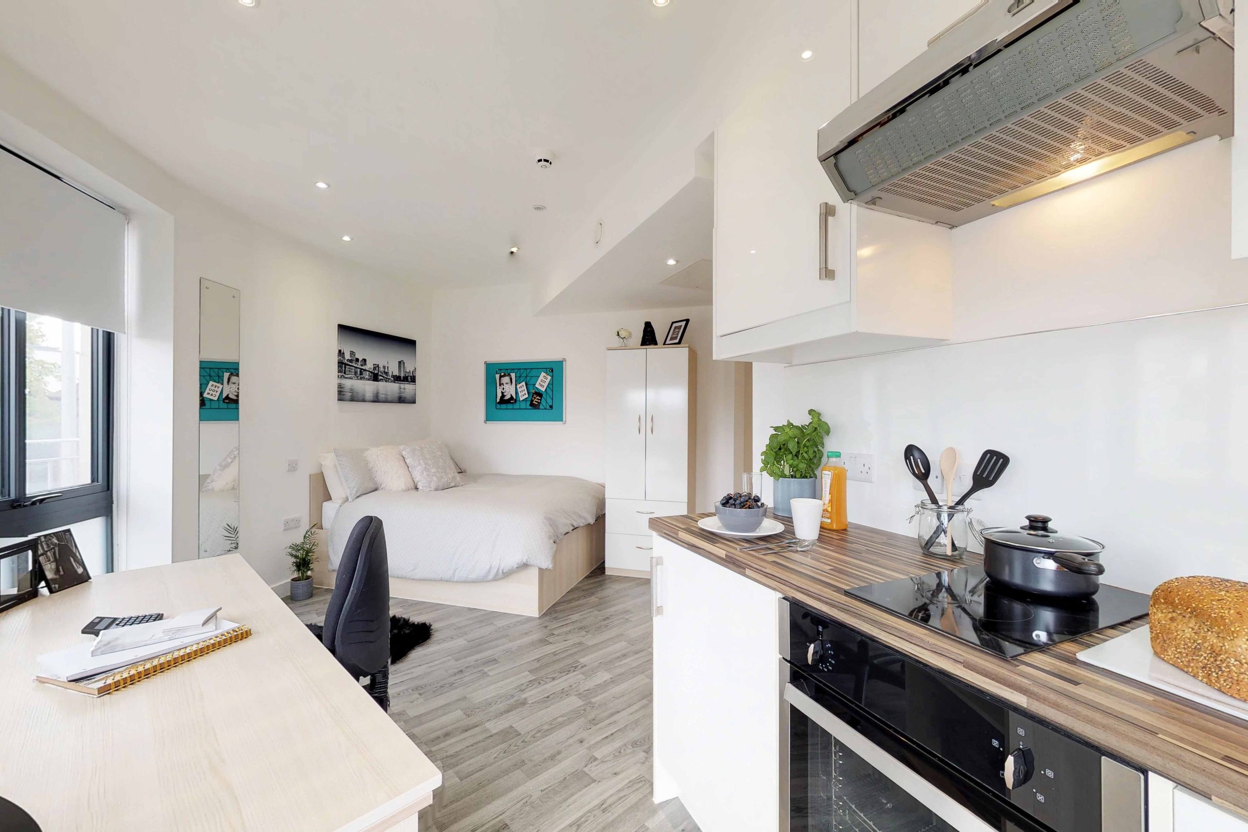  Superior Studio  -  Castle Hill  - Gallery -  3