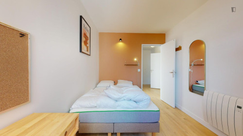 Pleasant double bedroom in Villejuif