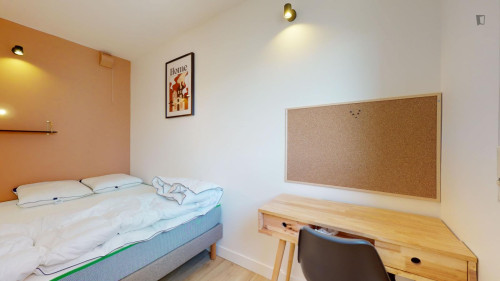 Bright double bedroom in Villejuif