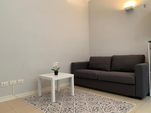 Very neat 1 bedroom apartment in Porta Garibaldi