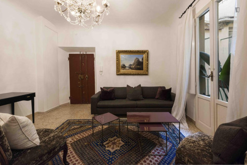 Homely 1-bedroom apartment near the Boboli Gardens