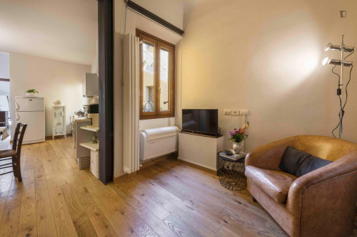 Warm and cosy 1-bedroom flat in Bellosguardo